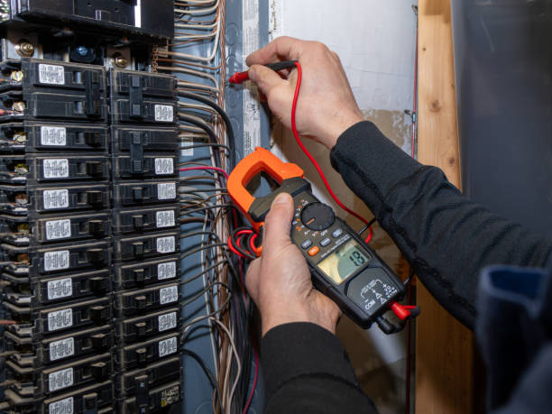 Best Electric Panel Repair  in Warren, MI
